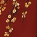 Calliope Twill Jacket - Cherry Blossom Brown