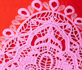 Rhea Lace Skirt - Red